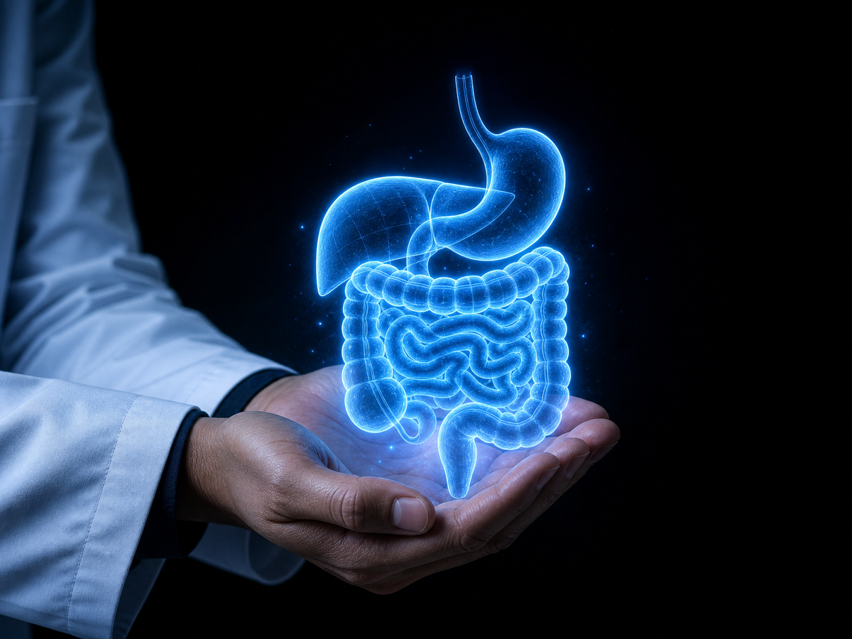 Glowing holographic stomach, liver and intestines for Gastro and Hepato Care
